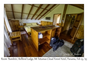 Room Bambito