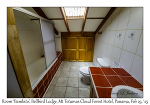Room Bambito