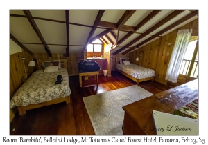 Room Bambito