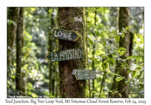 Trail Junction
