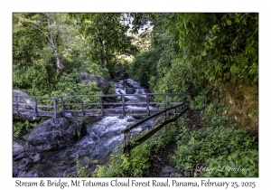 Stream & Bridge