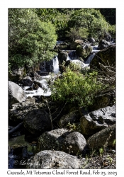 Cascade
