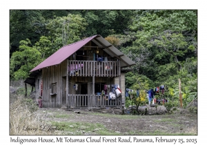 Indigenous House