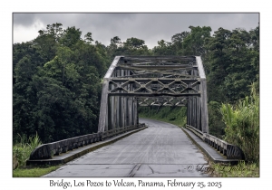 Bridge