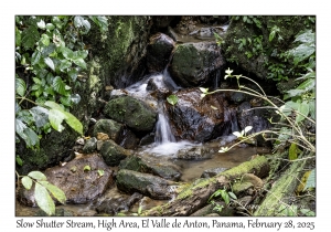 Slow Shutter Stream