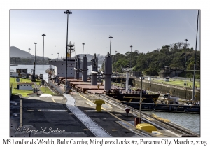 MS Lowlands Wealth