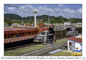 MS Lowlands Wealth