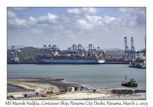 MS Maersk Halifax