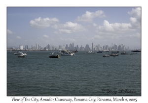 View of the City