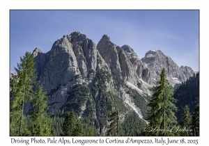 Pale Alps