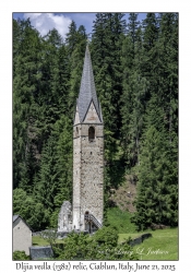 Dlijia vedla (1382) relic