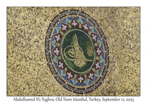 Abdulhamid II's Tughra