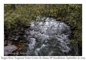 2025-09-16#8946 Turgen River, Turgensai Visitor Ctr, Ile Alatau NP, Kazakhstan
