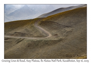 Grazing Lines & Road
