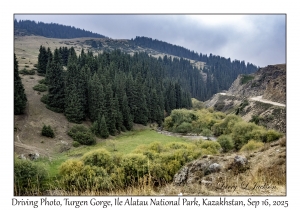 Driving Photo, Turgen Gorge