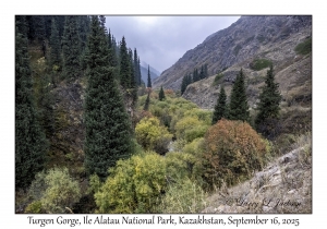 Turgen Gorge