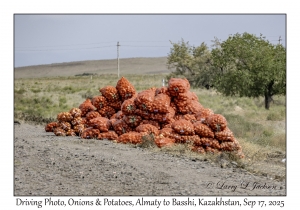 Driving Photo, Onions & Potatoes
