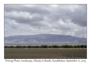 Driving Photo, Landscape