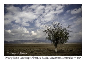 Driving Photo, Landscape