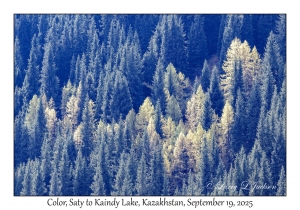 2025-09-19#9700 Color, Saty to Kaindy Lake, Kazakhstan