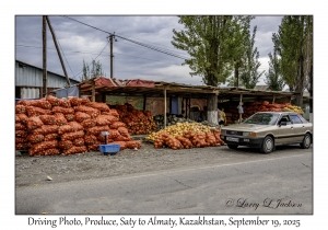 2025-09-19#9809 Driving Photo, Produce, Saty to Almaty, Kazakhstan