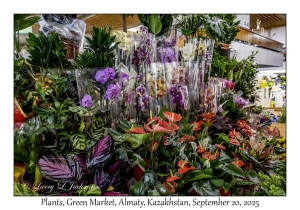 2025-09-20#9886 Plants, Green Market, Almaty, Kazakhstan