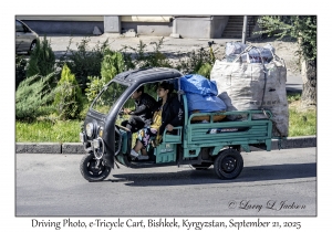 e-Tricycle Cart