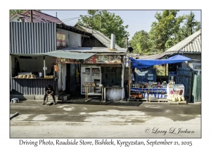 Roadside Store