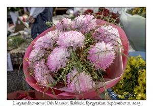 Chrysanthemums