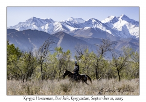 Kyrgyz Horseman