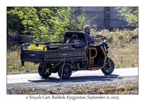 e-Tricycle Cart