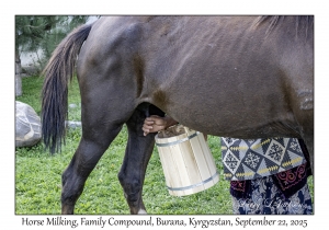 Horse Milking