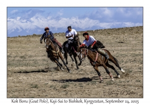 Kok Boru (Goat Polo)