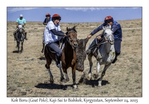 Kok Boru (Goat Polo)