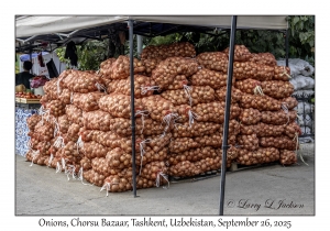 2025-09-26#2051 Onion, Chorsu Bazaar, Tashkent, Uzbekistan