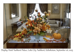 2025-09-26#5205 Display, Hotel Tashkent Palace, Lotte City, Tashkent, Uzbekistan