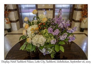 2025-09-26#5206 Display, Hotel Tashkent Palace, Lotte City, Tashkent, Uzbekistan