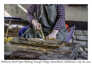 2025-09-28#2318 Mulberry Bark Paper Making, Konigil Village, Samarkand, Uzbekistan