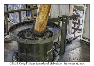 2025-09-28#2328 Oil Mill, Konigil Village, Samarkand, Uzbekistan