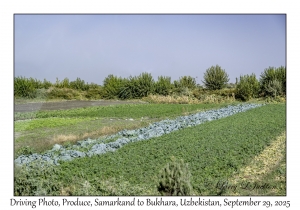 2025-09-29#2457 Driving Photo, Produce, Samarkand to Bukhara, Uzbekistan