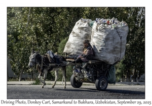 2025-09-29#2466 Driving Photo, Donkey Cart, Samarkand to Bukhara, Uzbekistan