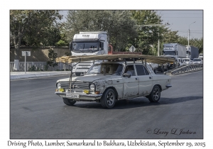 2025-09-29#2491 Driving Photo, Lumber, Samarkand to Bukhara, Uzbekistan