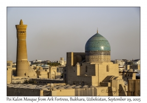 2025-09-29#2563 Poi Kalon Mosque from Ark Fortress, Bukhara, Uzbekistan