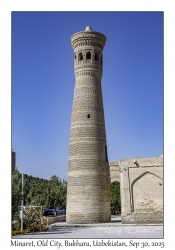 2025-09-30#2658 Minaret, Old City, Bukhara, Uzbekistan