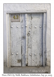 2025-09-30#2701 Door, Old City Walk, Bukhara, Uzbekistan