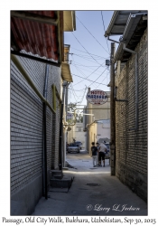 2025-09-30#2715 Passage, Old City Walk, Bukhara, Uzbekistan