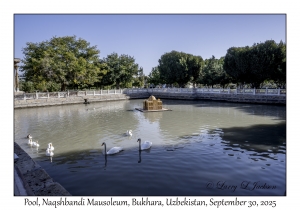 2025-09-30#5583 Pool, Naqshbandi Mausoleum, Bukhara, Uzbekistan