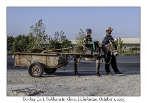 2025-10-01#2791 Donkey Cart, Bukhara to Khiva, Uzbekistan