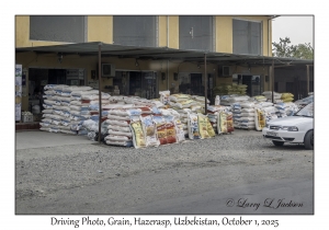 2025-10-01#2942 Driving Photo, Grain, Hazerasp, Uzbekistan