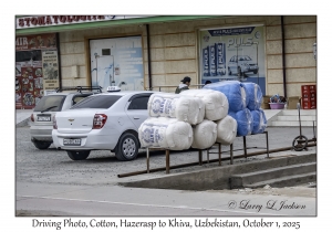 2025-10-01#2986 Driving Photo, Cotton, Hazerasp to Khiva, Uzbekistan